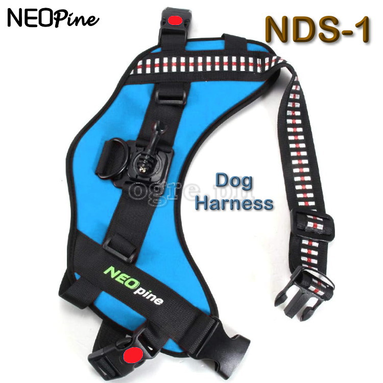 Dog Harness for