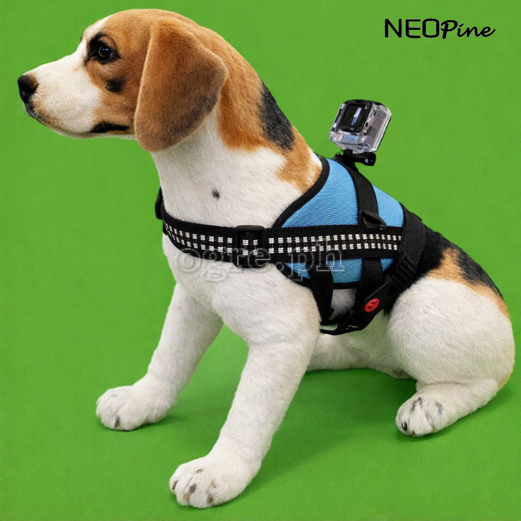 Dog Harness for