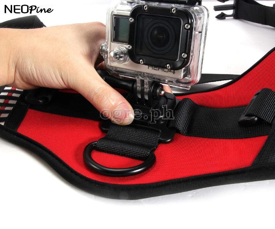 Dog Harness for