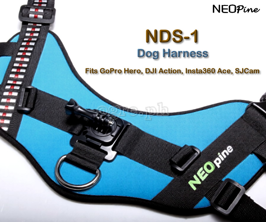 Dog Harness for