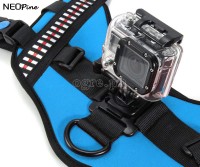 Dog Harness for