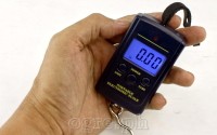 DWS-01 Portable Digital Hanging Scale