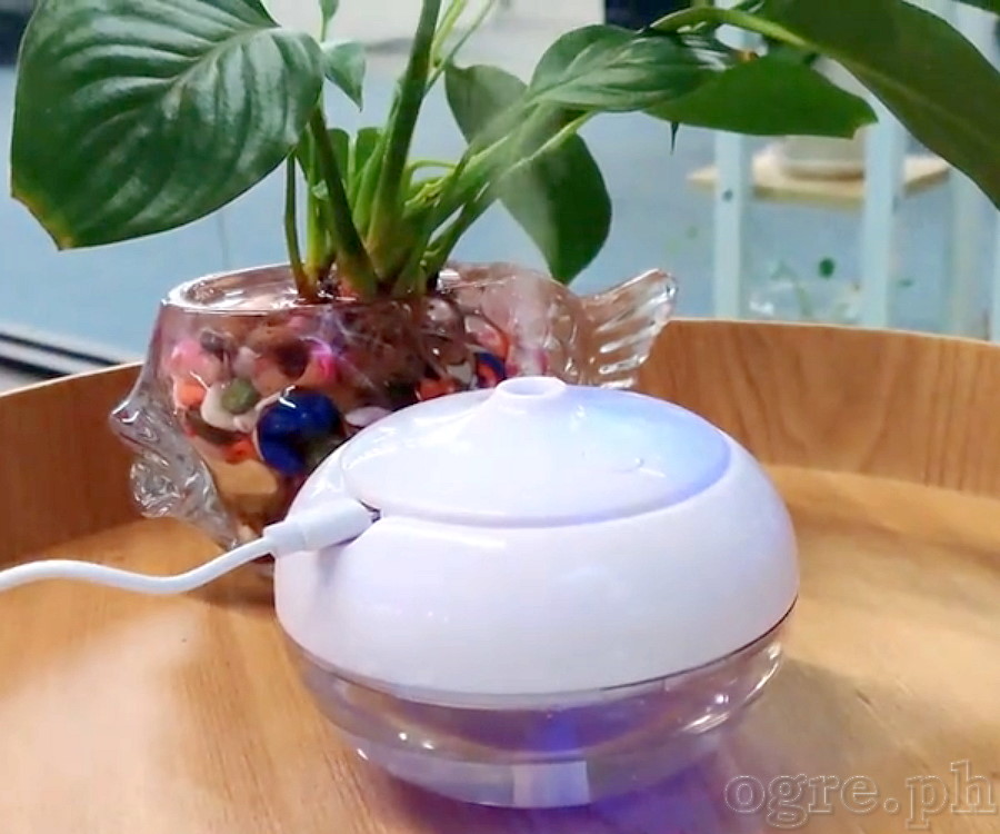 W-718F 250ml Aromatherapy Diffuser / Nano Mist Humidifier USB-Powered