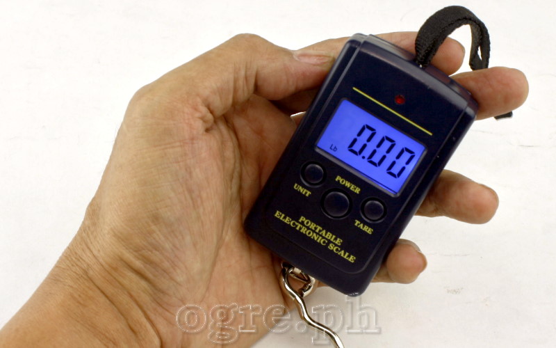 DWS-01 Portable Digital Hanging Scale