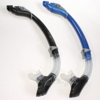 Paradise Paradise Dry Snorkel