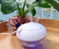 W-718F 250ml Aromatherapy Diffuser / Nano Mist Humidifier USB-Powered