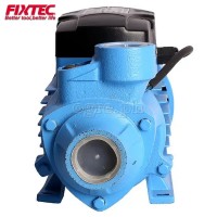 FPP37001 370W 1/2Hp Peripheral Water Pump