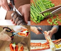 FQ-SC12 21cm (8¼”) Multi-Purpose Titanium Kitchen Shears