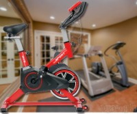 LT-520 Unisex Stationary Spin Bike