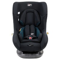 Nest II Convertible Child Car Seat (Newborn to 4 years)