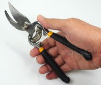 31018 Bypass Pattern Pruning Shear 200mm (8”)