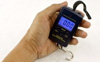 DWS-01 Portable Digital Hanging Scale