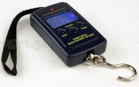 DWS-01 Portable Digital Hanging Scale