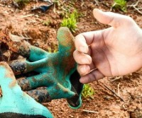 V-G001 Gardening Gloves with Claws