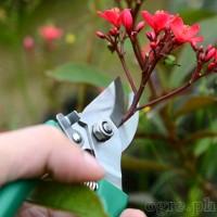 VGT-78 5 Pcs Garden Tools Set with Storage Case